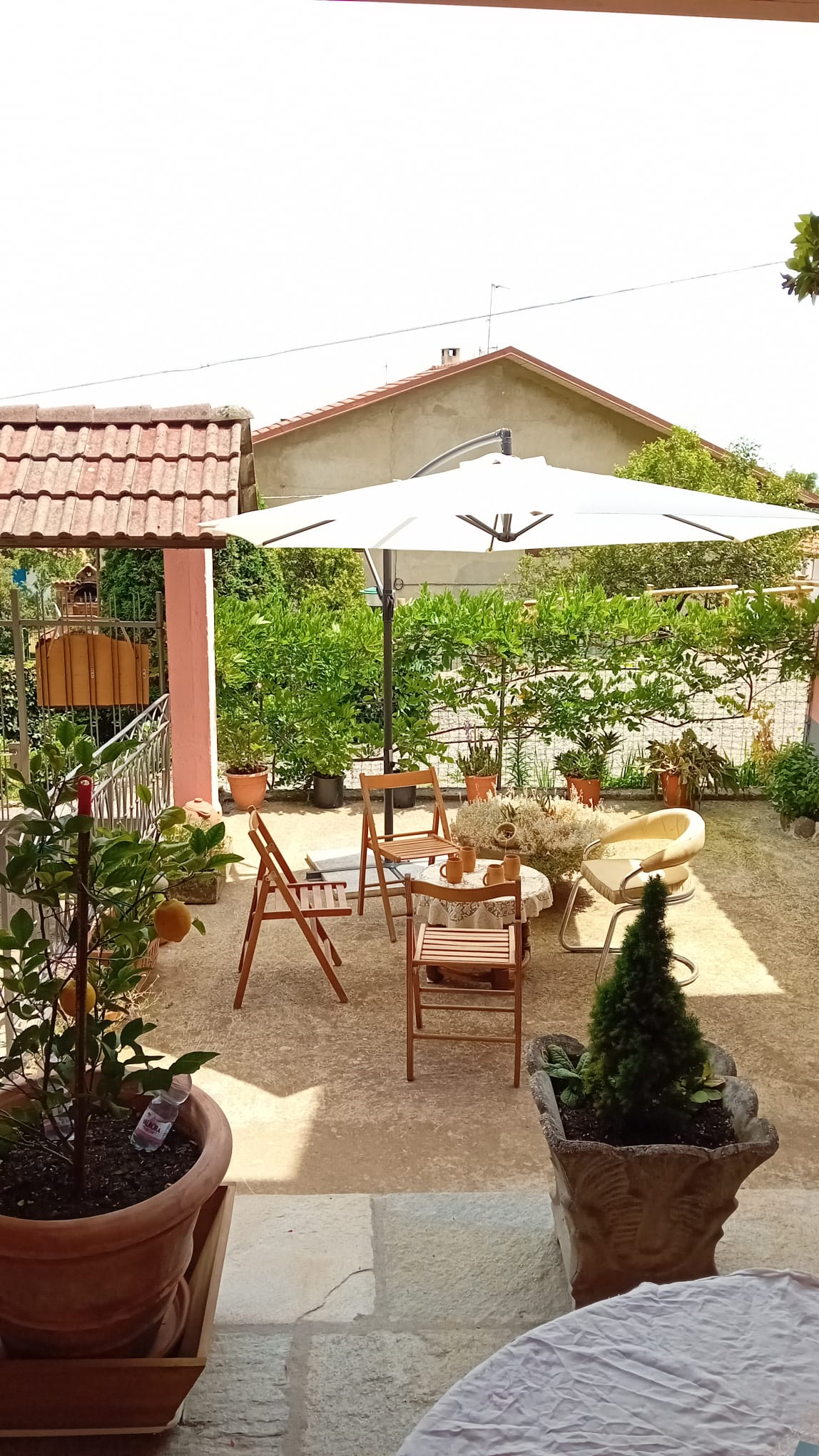 WhatsApp Image 2025-10-21 at 152613 2