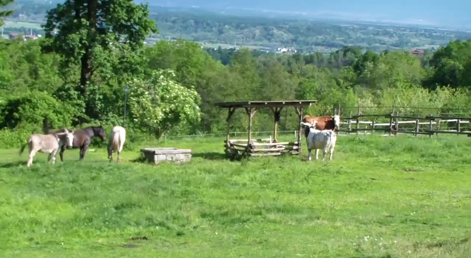Panorama lungo il sentiero
